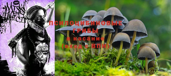 герыч Инта