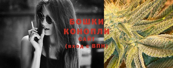 прущая мука Инсар