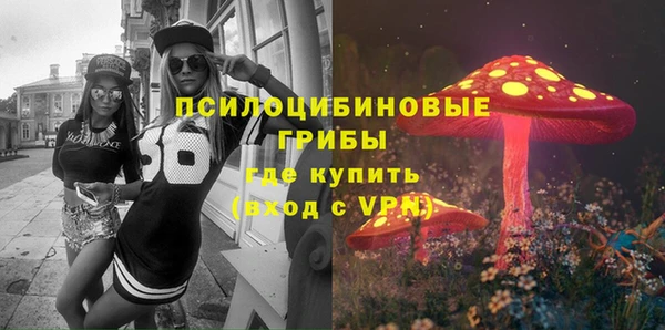 прущая мука Инсар