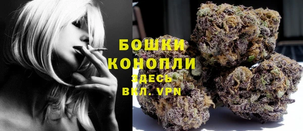 прущая мука Инсар