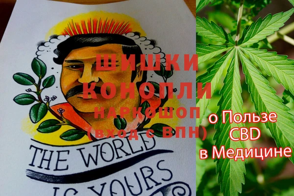 прущая мука Инсар