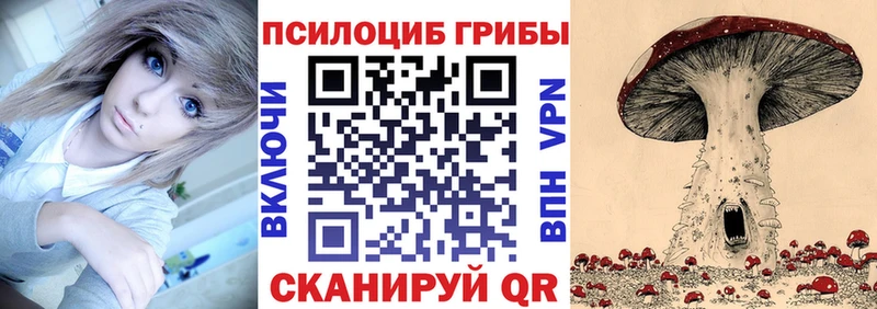 Псилоцибиновые грибы GOLDEN TEACHER  купить наркотики цена  Долгопрудный 